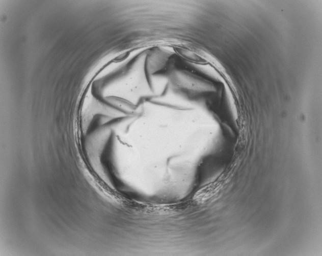 X0000059800811200511111559