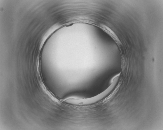 X0000059800812200511111559