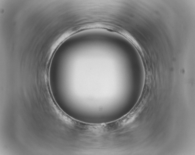 X0000059800813200511111559