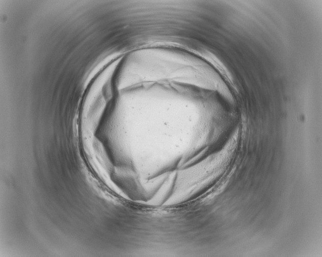 X0000059800814200511111559