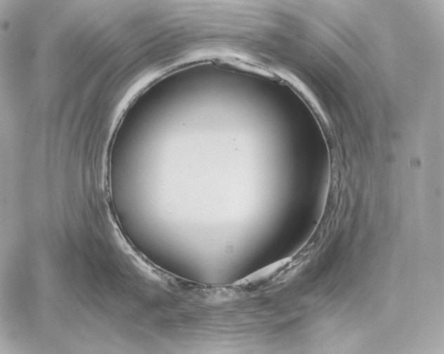 X0000059800815200511111559