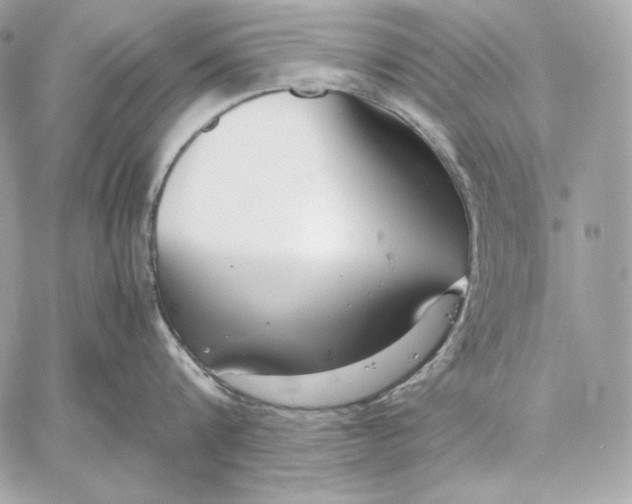 X0000059800816200511111559