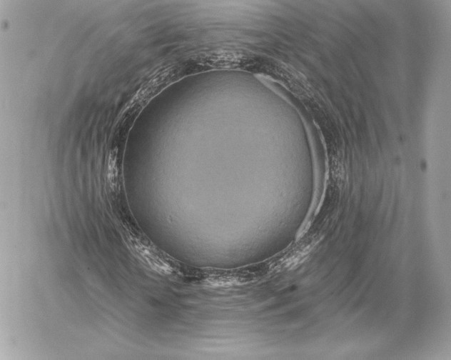 X0000059800818200511111558