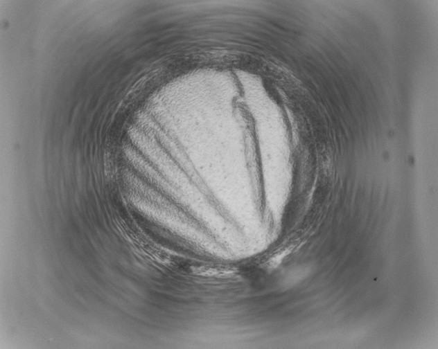 X0000059800819200511111558