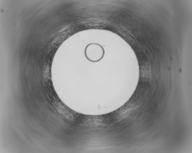 X0000059800820200511111559