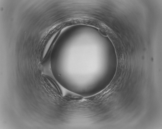 X0000059800822200511111559