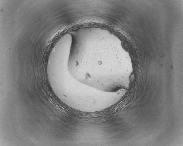 X0000059800824200511111559