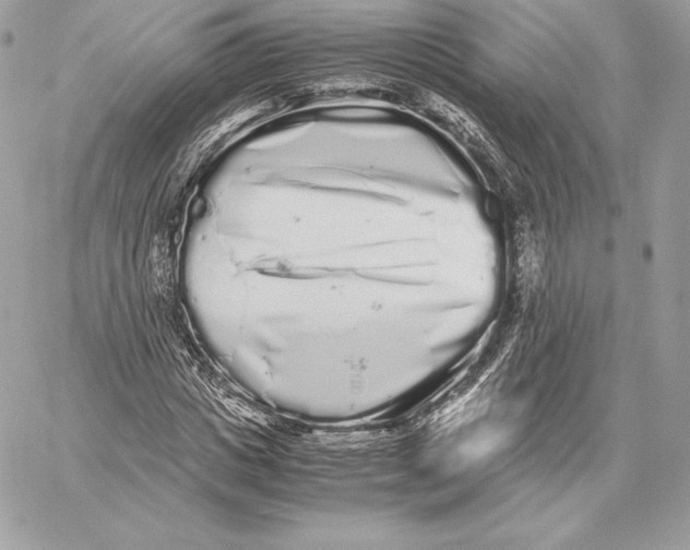 X0000059800825200511111559