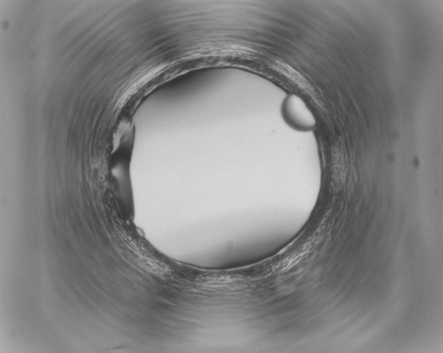 X0000059800826200511111559