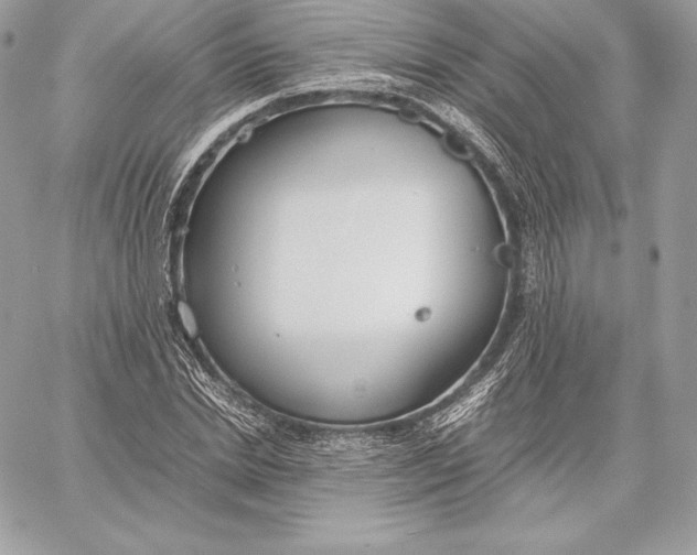 X0000059800830200511111559