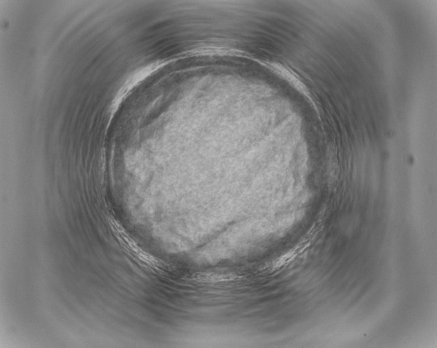 X0000059800831200511111559