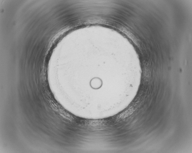 X0000059800832200511111559