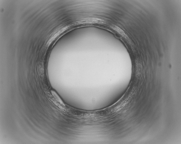 X0000059800834200511111559