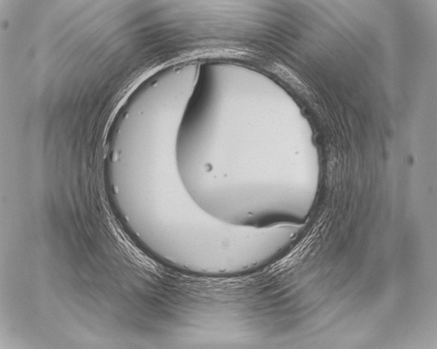 X0000059800836200511111559