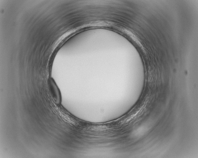 X0000059800837200511111559