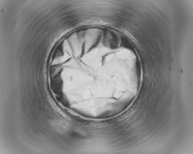 X0000059800840200511111559