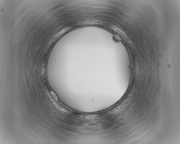 X0000059800841200511111559