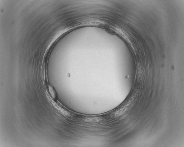 X0000059800843200511111559