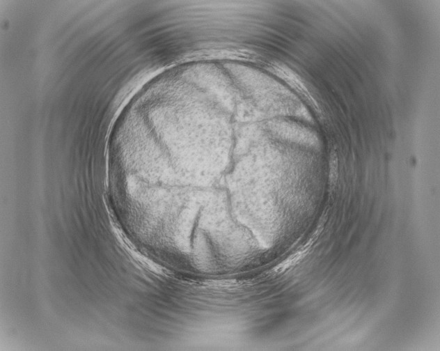 X0000059800844200511111559