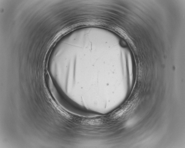 X0000059800845200511111559