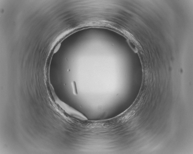 X0000059800846200511111559