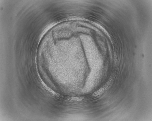 X0000059800847200511111559