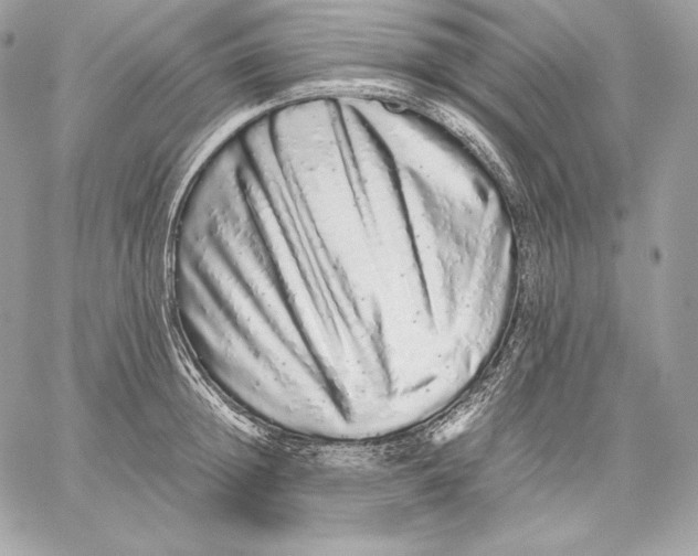 X0000059800852200511111559