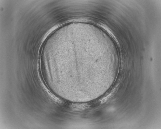 X0000059800853200511111559