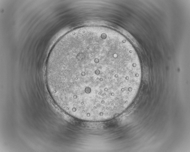 X0000059800856200511111559