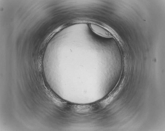 X0000059800857200511111559