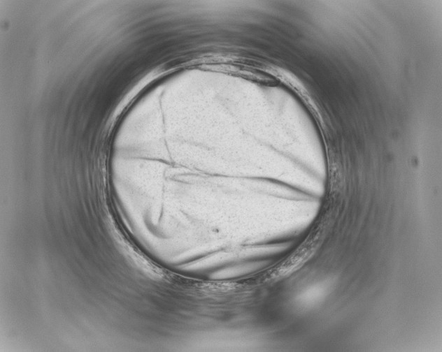 X0000059800859200511111559