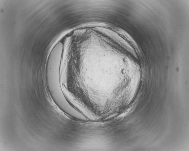 X0000059800860200511111559