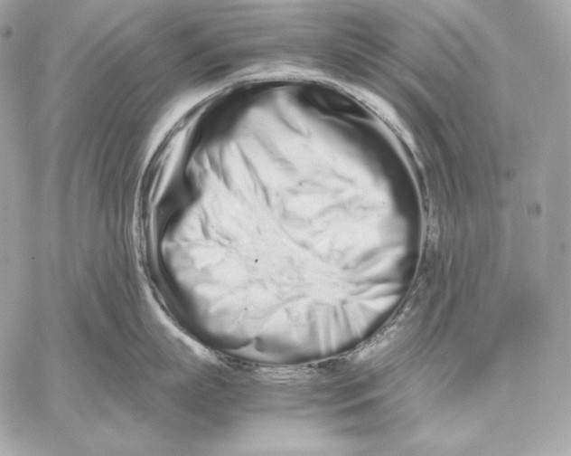 X0000059800863200511111559