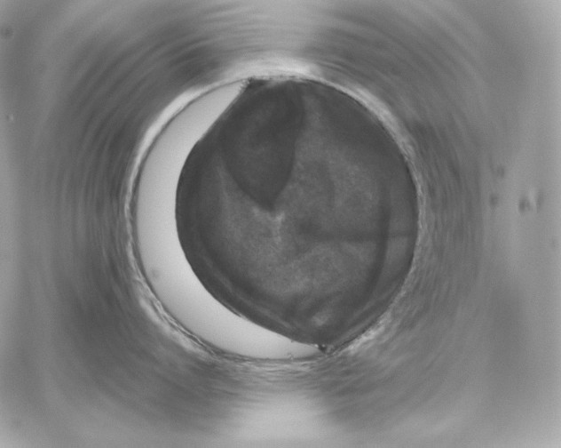 X0000059800864200511111559