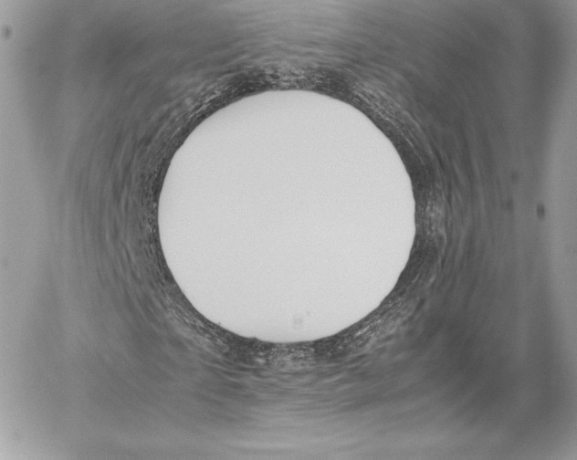 X0000059800865200511111558