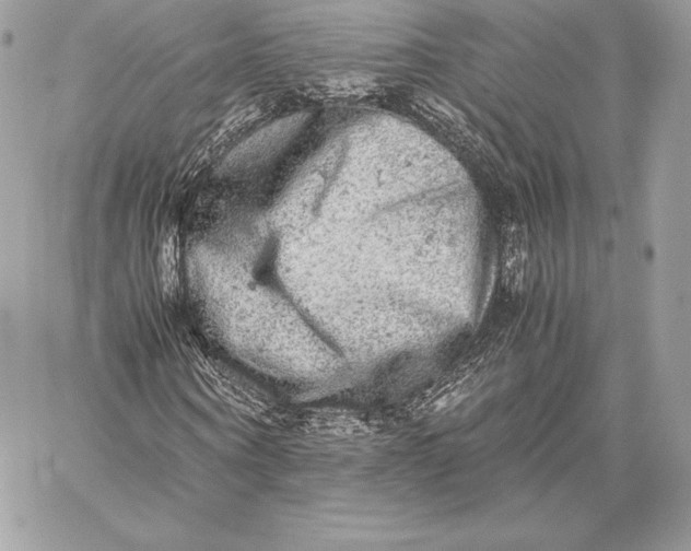 X0000059800866200511111558