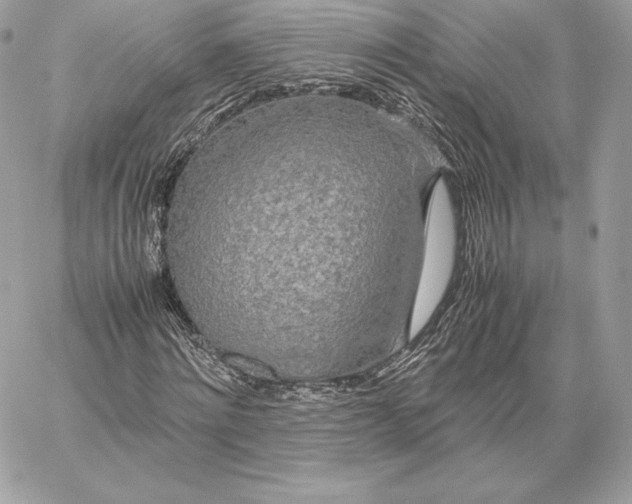 X0000059800868200511111558