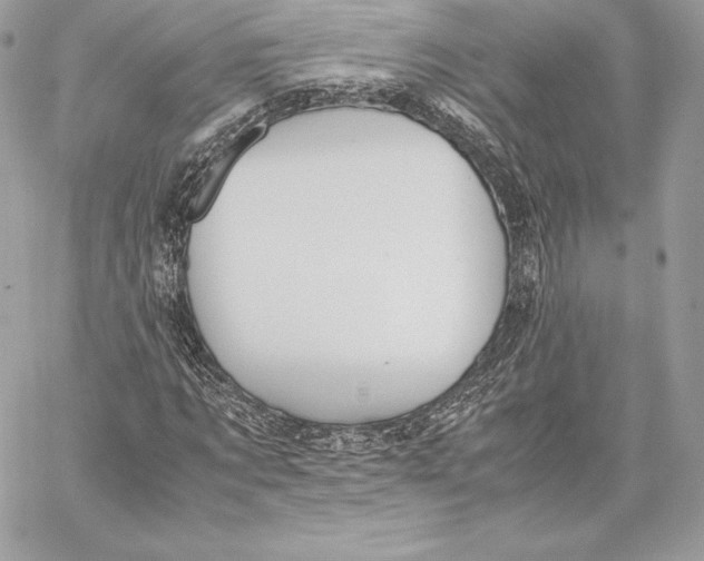 X0000059800869200511111558