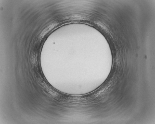 X0000059800873200511111558