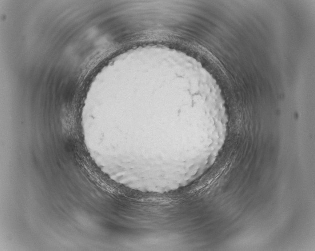 X0000059800874200511111558