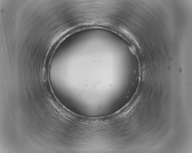 X0000059800876200511111558