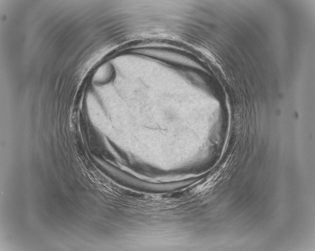 X0000059800879200511111558