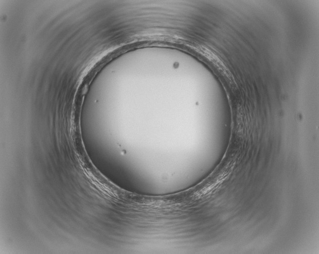 X0000059800880200511111558