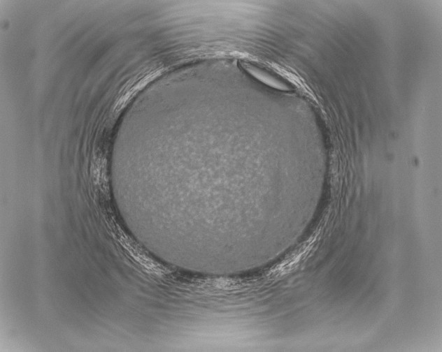 X0000059800881200511111558