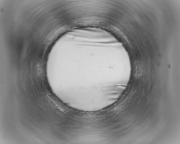 X0000059800882200511111558