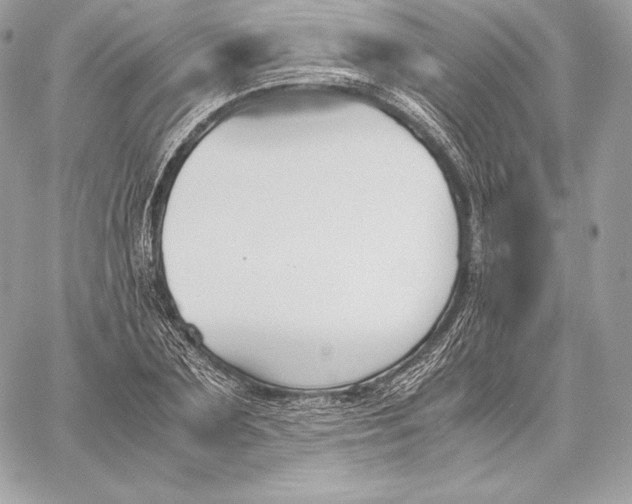 X0000059800883200511111558