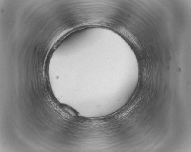 X0000059800884200511111558