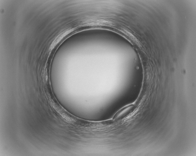 X0000059800885200511111558