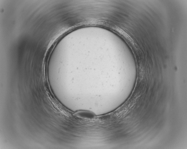 X0000059800886200511111558