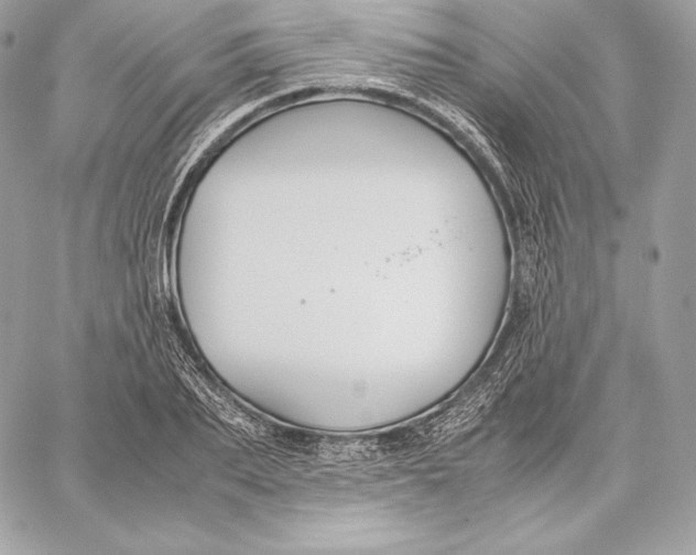 X0000059800887200511111558